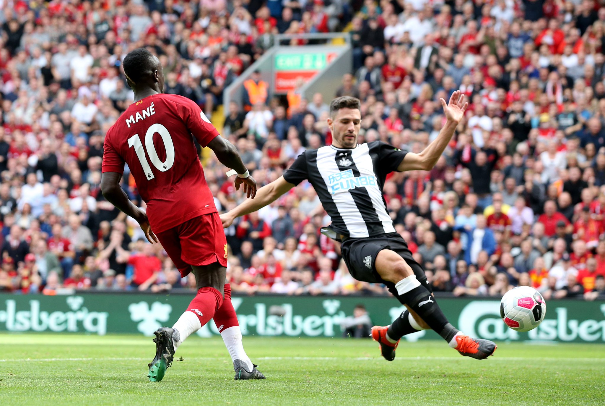 西蒙尼希望 西蒙尼希望